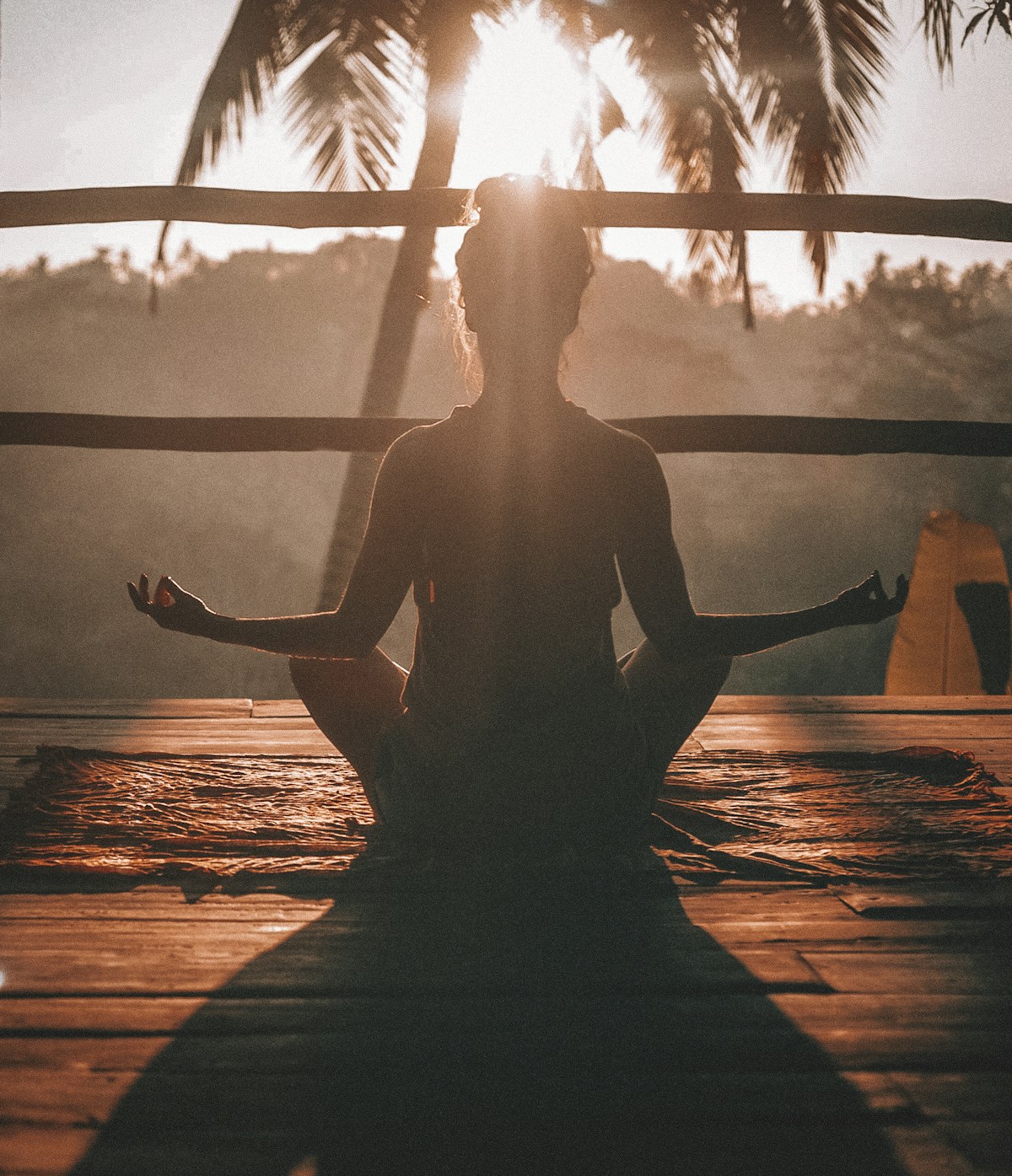 Yoga y No-Dualidad (Advaita)